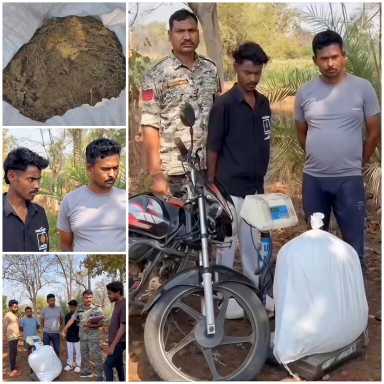 33 किलो गांजा के साथ तीन आरोपी गिरफ्तार, अंतराज्यीय नेटवर्क से जुड़े होने की आशंका